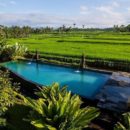 Padi Bali Eco Villas Payangan Extérieur photo