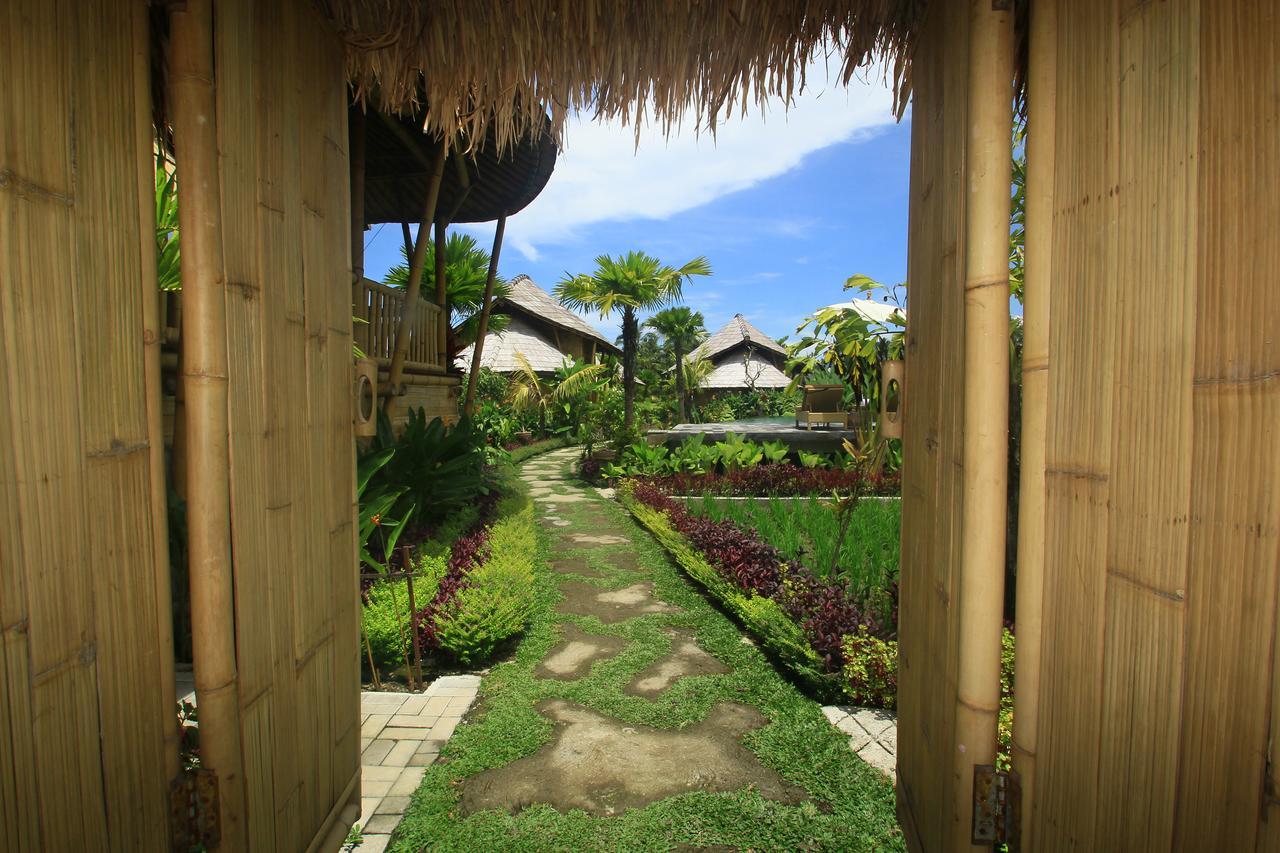 Padi Bali Eco Villas Payangan Extérieur photo